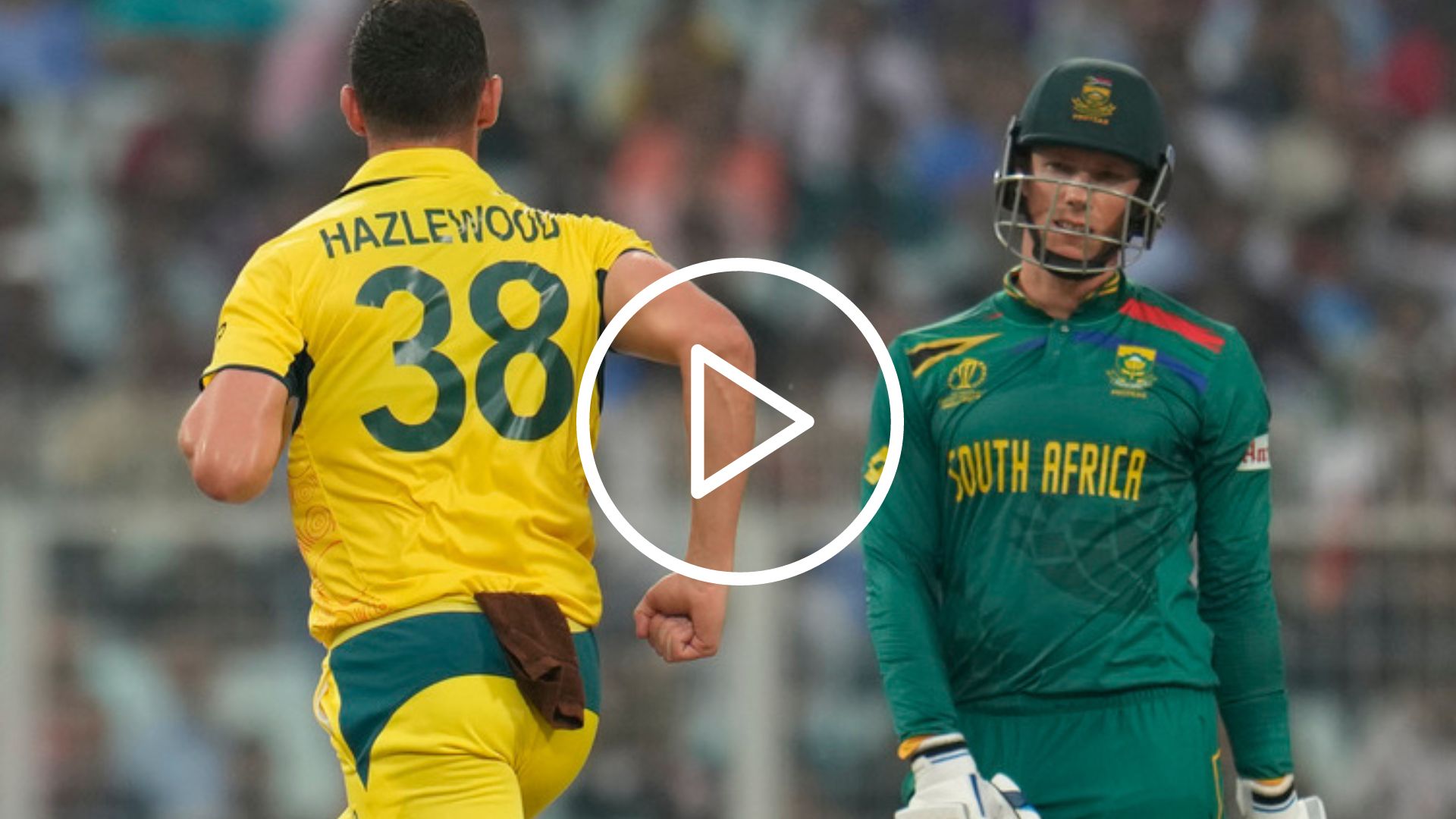 [Watch] Another One Bites The Dust; Rassie van der Dussen Departs As AUS Strengthens WC Final Hopes